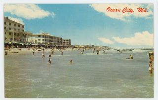 Old Hotels At The Beach,  Ocean City Md Vintage Maryland Postcard