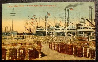 1910 Black American Postcard - Cotton Bale Scene On Levee,  Orleans,  La.