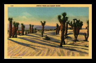 Dr Jim Stamps Us Joshua Trees Desert Sands Linen Colortone Postcard