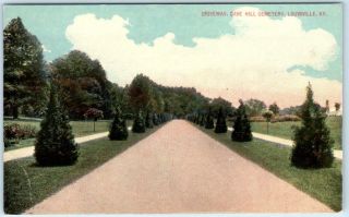 Louisville,  Kentucky Ky Driveway Cave Hill Cemetery Ca 1910s Postcard