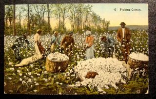 1910 Black American Postcard - " Picking Cotton " Black With Cotton Baskets