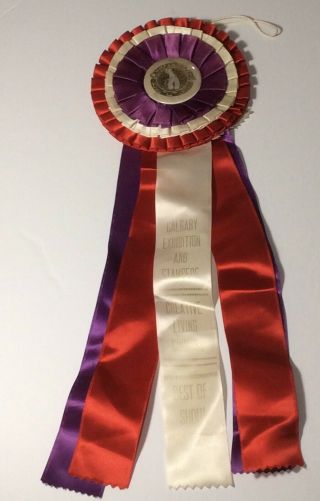 Calgary Exhibition & Stampede Pin & Ribbon 1991 Wedding Cake Competition Best Of