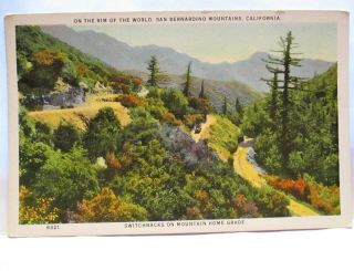 1920 Postcard On The Rim Of The World,  San Bernardino Mountains Ca