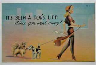 Risque Linen Sexy Lady & Dogs Out For A Walk Humor Postcard