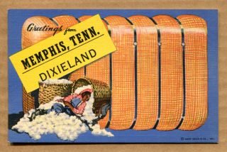 Greetings From Memphis,  Tenn - Dixieland Post Card - Curt Teich,  Boy In Cotton