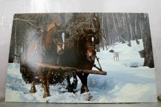 Vermont Vt Maple Sugar Time Postcard Old Vintage Card View Standard Souvenir Pc