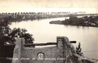 San Benito Texas 1940s Rppc Real Photo Postcard Tropical Scene
