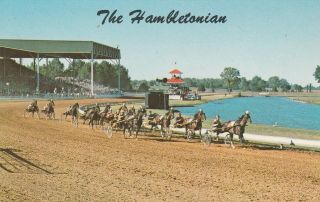 (u) Du Quoin,  Il - State Fair - The Hambletonian Race Track - Race Underway