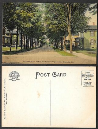 Old Pennsylvania Postcard - Greenville - Shenango Street Scene To West