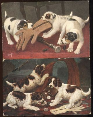 Pair 1907 Tuck Oilette Post Cards Showing Puppy Dogs At Play