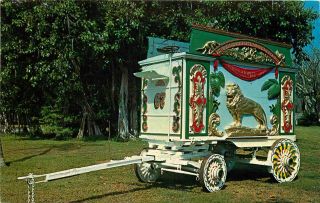 Postcard Hagenbeck Circus Lion Wagon,  Ringling Museum,  Sarasota,  Florida 1965