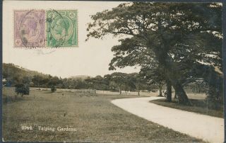Straits Settlements Singapore Unusual Real Photo Ppc Taiping Gardens Stamped