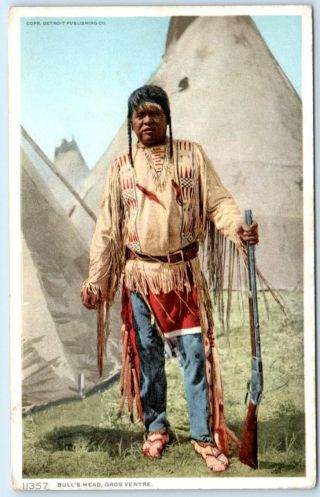 Native American Bull 