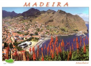 Machico,  Madeira,  Portugal Rare Aerial View Postcard Posted