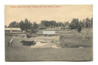 Ceylon - Nuwara Eliya Golf Links & Club House - Old Postcard