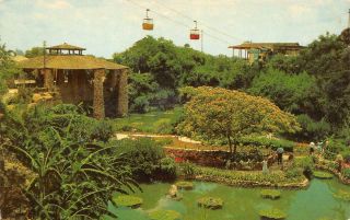 San Antonio,  Tx Texas Sunken Gardens & Sky Ride Tram C1960 