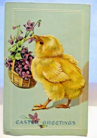 1908 Postcard Easter Greetings,  Baby Chick With Basket Of Violets