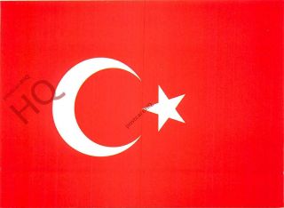 Picture Postcard - - Turkey,  The Flag