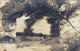 Lake Bomoseen,  Vt Rppc East Side Road (route 30) – Fake Birchbark 1908
