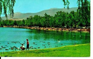 Reno Nv Virginia Lake Postcard 1950s