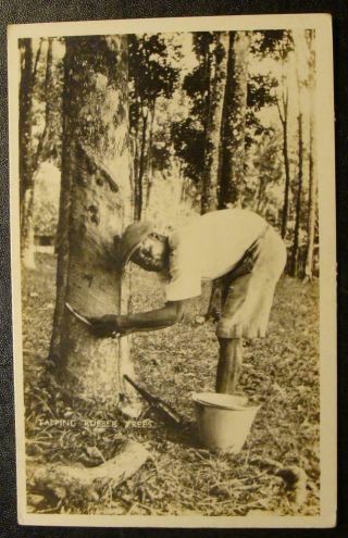1910 Black Real Photo Postcard - " Tapping Rubber Trees "