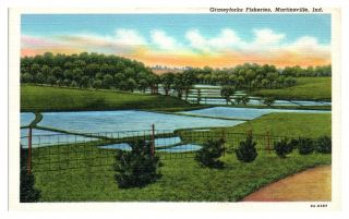 Grassyforks Fisheries,  Martinsville,  In Postcard 5n (2) 7