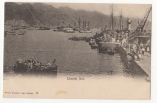 Tenerife Mole Spain Vintage U/b Postcard 838b