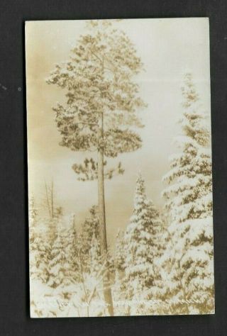 Postcard Rppc Ekc Silence In The North Woods Of Michigan 1293