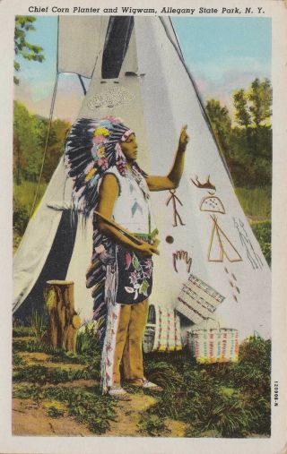 Native Americana Chief Corn Planter And Wigwam Allegheny State Park,  Ny C1940