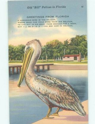 Linen Old Bill The Pelican Bird Postmarked Winter Haven Florida Fl E6582