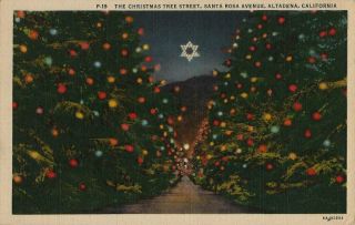 1939 Postcard - The Christmas Tree Street,  Santa Rosa Ave - Altadena Ca