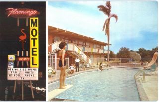 Flamingo Motel Near Disneyland Neon Sign Multi - View 1960s Postcard