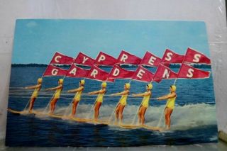 Florida Fl Cypress Gardens Water Ski Show Postcard Old Vintage Card View Post Pc