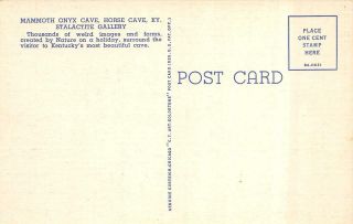 HORSE CAVE,  KY Kentucky MAMMOTH ONYX CAVE Stalactite Gallery c1940 ' s Postcard 2