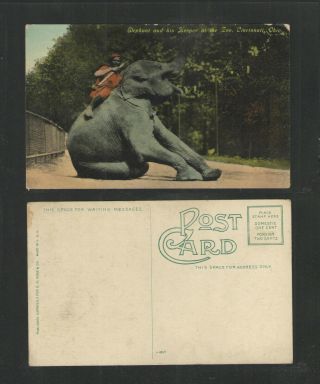 1910s Elephant And His Keeper At The Zoo Cincinnati Ohio Postcard