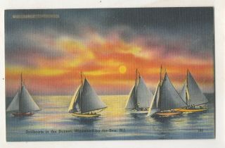 Sailboats In Sunset Wildwood By The Sea Nj Vintage Jersey Shore Postcard