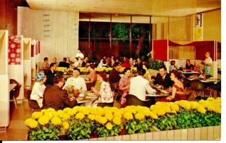 Vacaville Ca Western Dining At The Nut Tree Postcard 1950s