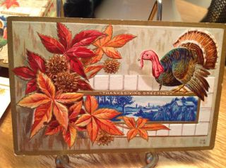 Vintage Thanksgiving Postcard Turkey Above Blue White Tile Picture Leaves Burrs