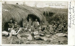 British Central Africa - Malawi - Natives Eating Locusts - Old Postcard View