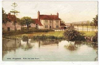 Hampshire - Cpc - The Fish Inn,  On The Avon,  West Street,  Ringwood,  C1910