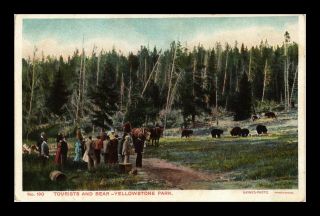 Dr Jim Stamps Us Postcard Yellowstone Park Wyoming Tourists And Bears