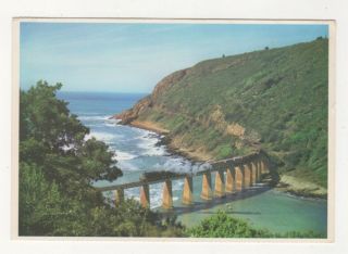 Railway Bridge At Kaaimans River Wilderness Cape South Africa Postcard 713b