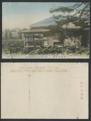Japan Old Hand Tinted Postcard Shinobazu Pond Uyeno Tokyo Lotus Flowers Geisha忍岡