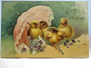 1910 Postcard Best Easter Wishes,  4 Chicks Under Parasol