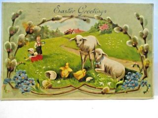 1909 Postcard Easter Greetings,  Lambs & Chicks,  Pussy Willows