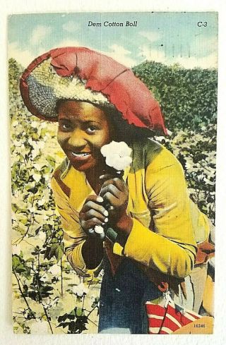 Collectible Black Americana Photograph Linen Postcard 1940s