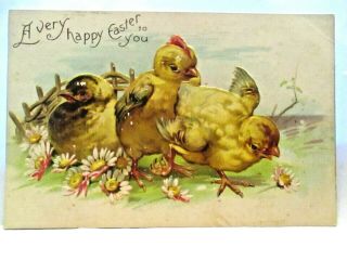 1910 Postcard Very Happy Easter To You,  3 Baby Chicks With Daisies