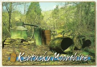 Postcard Kentucky Moonshine Liquor Still In Woods White Lightning Whiskey