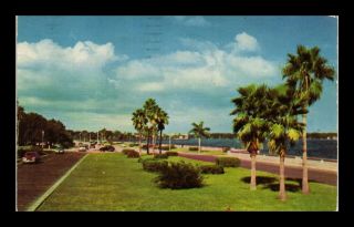 Dr Jim Stamps Us Palm Trees Bayshore Drive Tampa Bay Florida Postcard