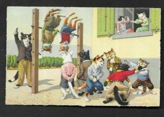 Postcard Alfred Mainzer " Cats " 4671 Physical Education In The Schoolyard 1662